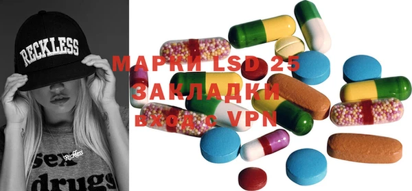 индика Алексин