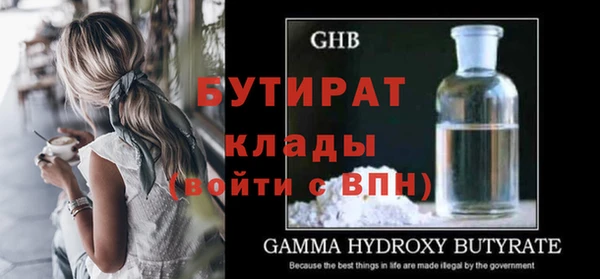 индика Алексин