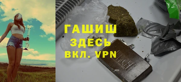 индика Алексин