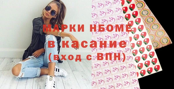 индика Алексин