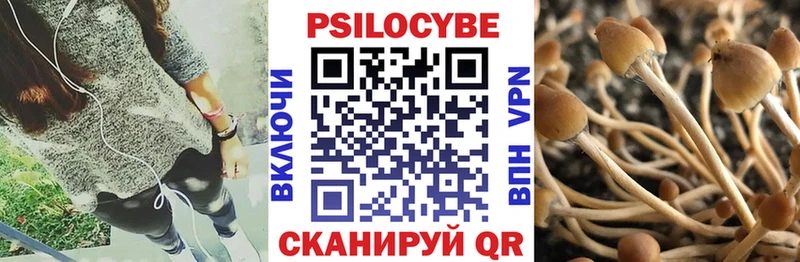 что такое наркотик  Димитровград  mega ТОР  Галлюциногенные грибы GOLDEN TEACHER 